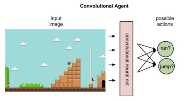 Convolutional Agent